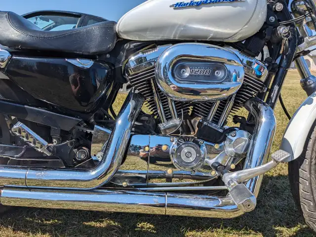 2006 Harley Davidson 1200 Sportster in Street, Cruisers & Choppers in St. Albert - Image 9
