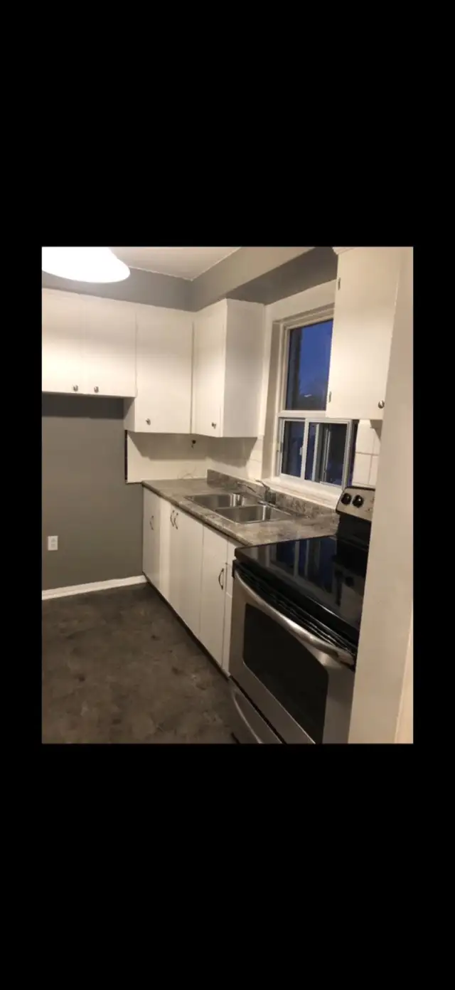  A present for Rent459276714393610241