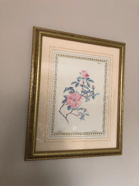 Framed picture of cistaceae rockrose  Plate II - $45