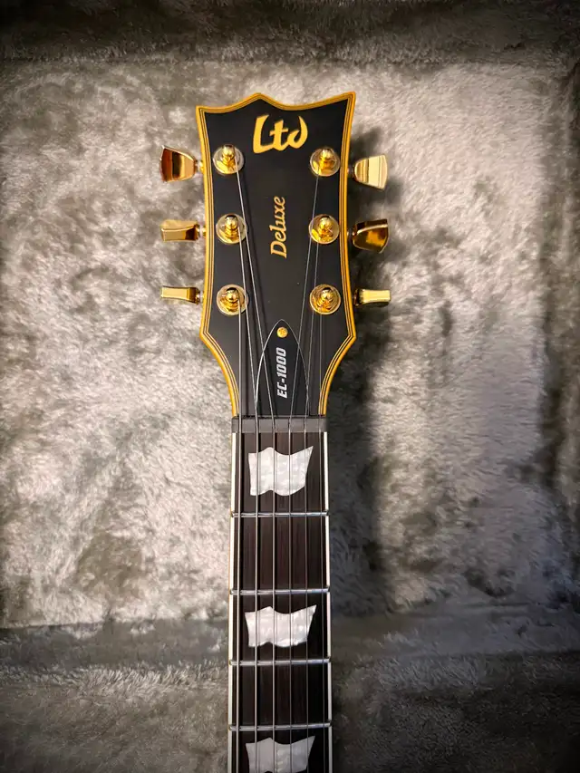 ESP/LTD EC-1000 — 2024539347296506368004