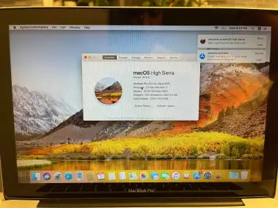 OS:macOS High Sierra Processor: 2.7 GHz Intel Core i7 Memory: 16 GB 1333 MHz DDR3 Graphics: Intel HD...