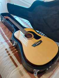 Washburn Dreadnought AD5K with hardshell case