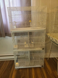 Cages d'oiseaux pas chères