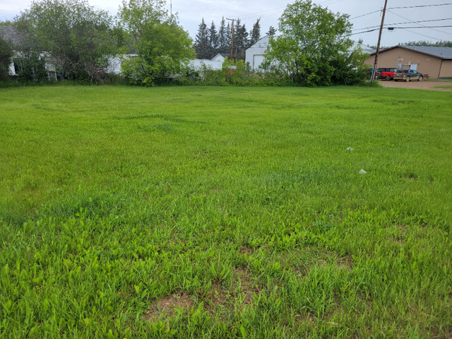 172 & 174 1st St W | Pierceland in Land for Sale in Meadow Lake - Image 3