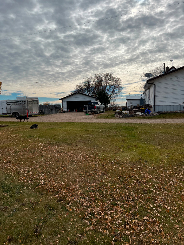 Raymore, SK- 169.89 Acres - 4 bdrm, 1.5 bath, Arena  Farm  Ranch in Houses for Sale in Regina - Image 3