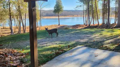 Rustic Chalet style home on 2.5 acres of easy access waterfront. new mini splits, wrap around deck,...