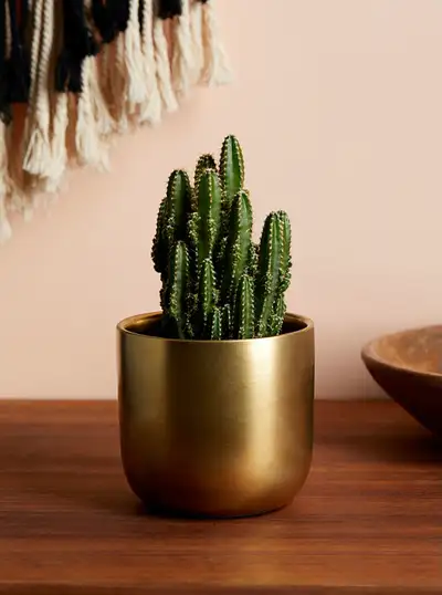 Gorgeous Gold planter gold pot Ceramic, View more