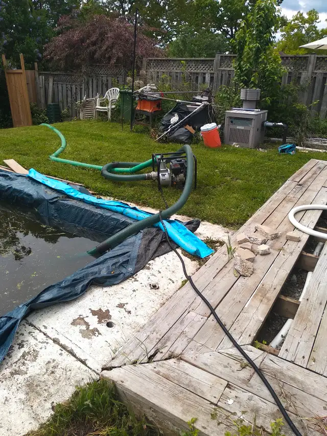 Pool opening62863276759553123