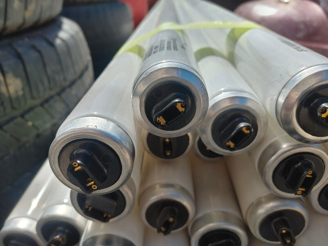 Fluorescent Tubes in Electrical in Moose Jaw - Image 2