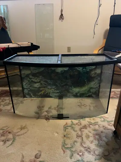 fish tank , View more