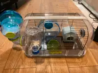 Bébé hamster 21 jour avec cage