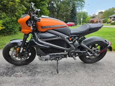 Experience the future of riding with this 2020 Harley-Davidson Livewire, featuring a powerful electr...