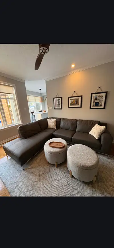 Faux leather couch from Structube, View more