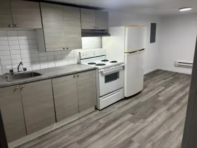 Métro Viau : Grand 4 1/2 situé à Hochelaga-Maisonneuve disponible dans l’est au demi sous-sol, 2 cha...