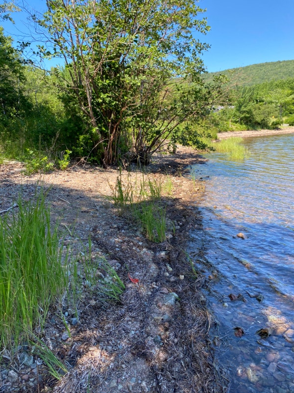 QUIET PRIVATE 3.2ACRE + / PLUS DEEDED ACCESS TO BRAS D Land for Sale