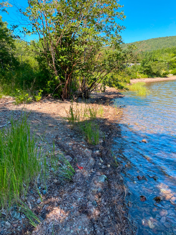 QUIET PRIVATE 3.2ACRE + / PLUS DEEDED ACCESS TO BRAS D Land for Sale