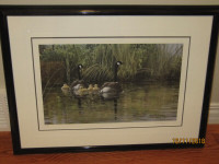Northern Reflections - Loons Canvas Art by Don Li-Leger