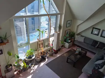 11x12 room upstairs in an elevated townhouse, just off Spring Garden Road. Sunny room w/skylight, up...