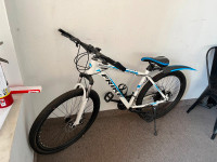 FRIKE Mountain Bike