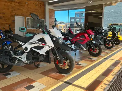 MOTO SCOOTER A GAZ 49CC NEUF A VENDRE 2024 , DE LA MARQUE ''SCORPION '' MODELE '' STINGER '' A 3350....
