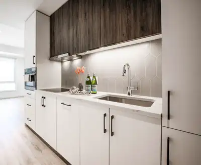 1 bed condo for rent