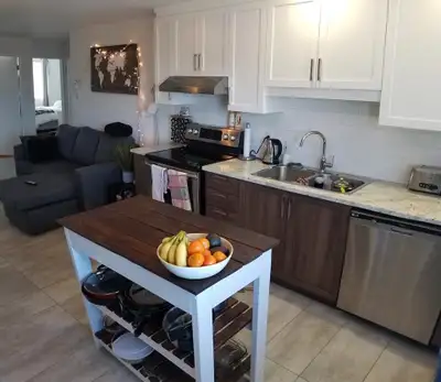 Grand 5 1/2 Rénové Moderne, 3CAC Rosemont, Metro Fabre, Villeray