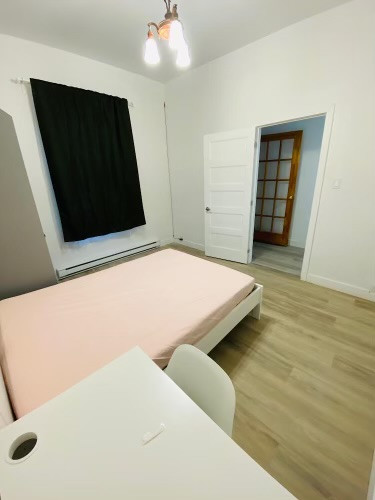 3 bed 1 bath apartment (McGill/student summer sublet) dans Locations temporaires  à Ville de Montréal - Image 2