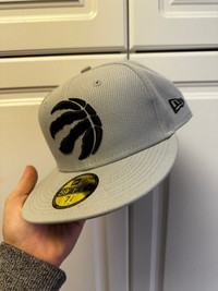 Fitted raptors hat