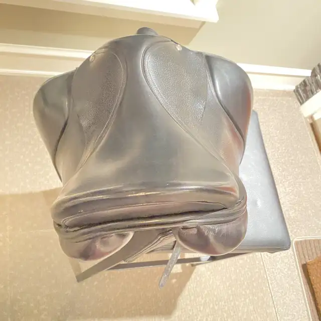 Hanover by Verhan Saddle64849799747203124