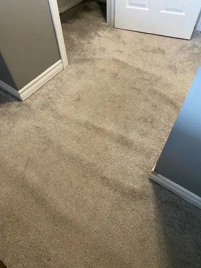 CARPET PULLING , View more