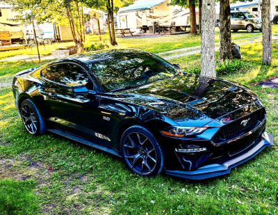 Mustang 5.0 2019 PP2
