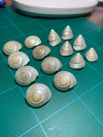 vintage pearlized shell lot, View more