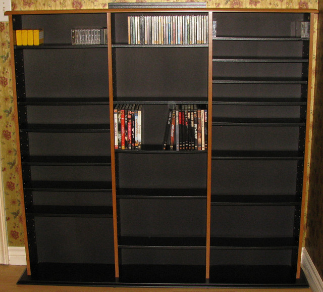 Large Media Organizer Storage Cabinet with Adjustable Shelves | Bookcases &  Shelving Units | Saint John | Kijiji