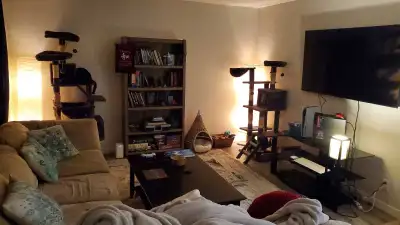 Private bedroom for rent, located in Glenbrook Close to MRU, nearest amenities are a 20-30 min walk...