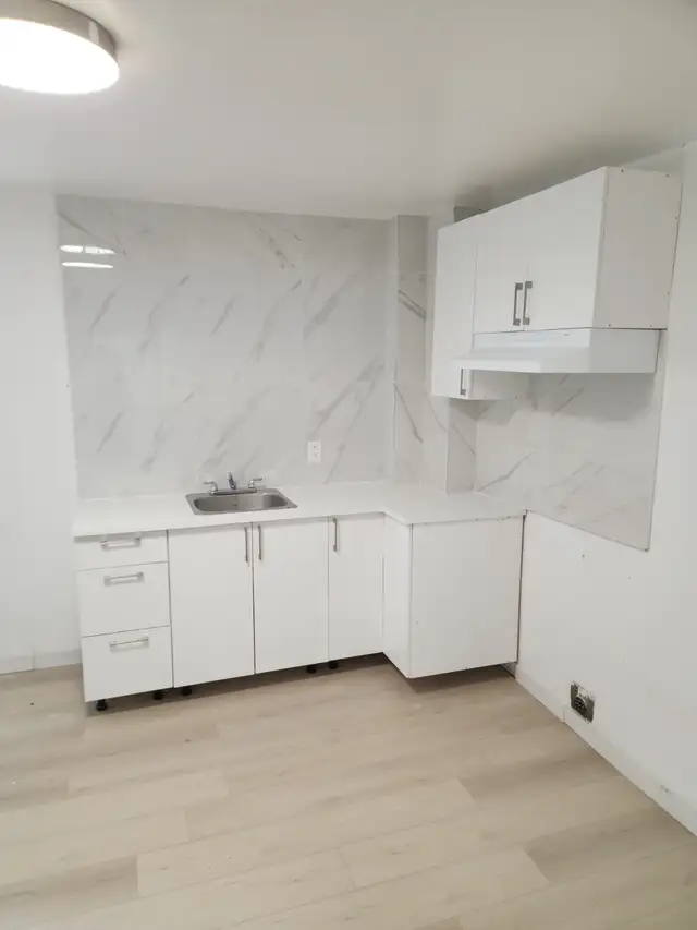 1 BDRM verdun - renovated close to Metro