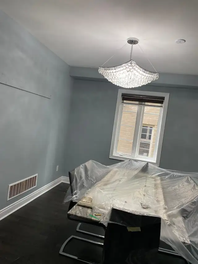 professional painters63760493479683124