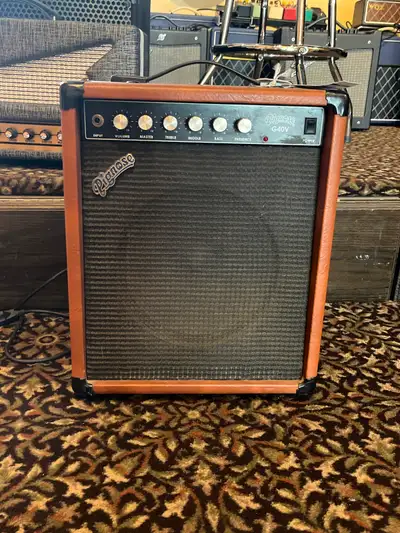 Pig Nose Guitar Amp, View more