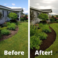 Spring lawn clean up& maintenance 