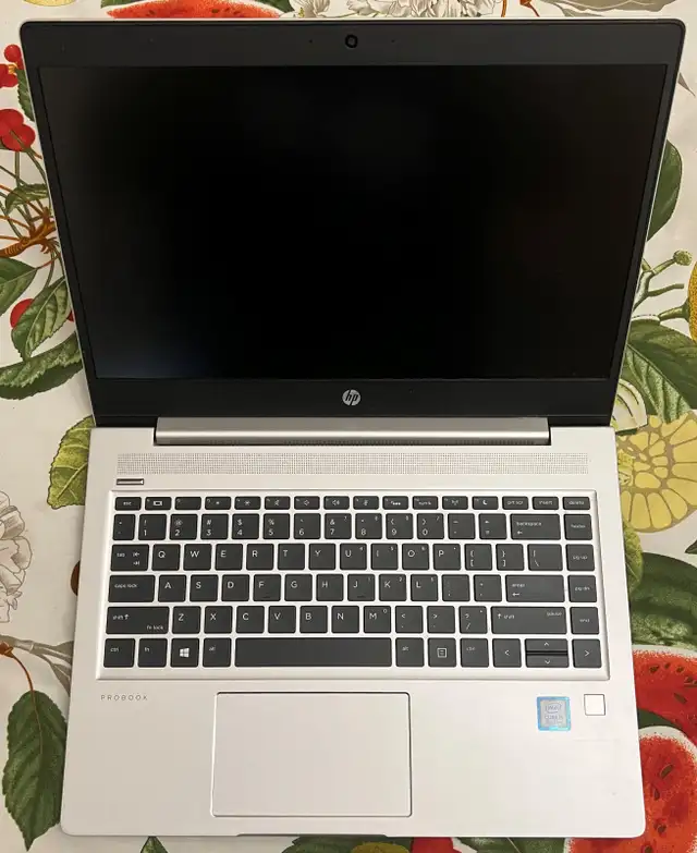 HP ProBook 440 G6 Laptop 8gb Memory 256gb SSD62863729240193121