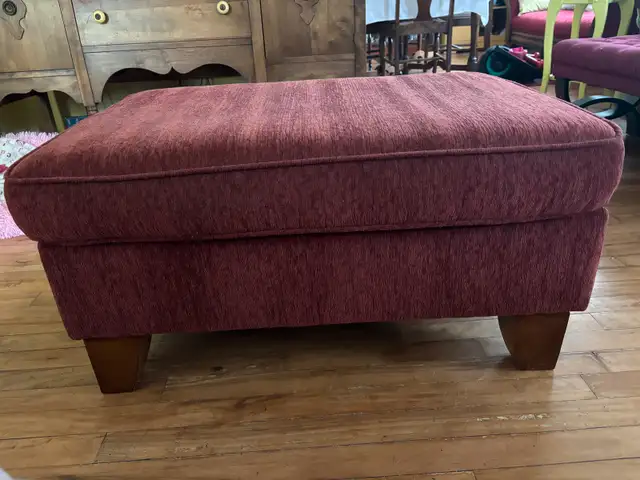 Loveseat and Ottoman in Couches & Futons in Truro - Image 5