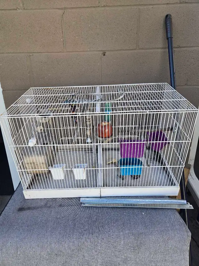 bird cage