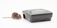 Mice & Rats Bait Stations 519-584-4977 Rodents Pest Control