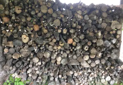 Selling a cord and a half of very dry firewood for fireplace, wood burning stove or outdoor fireplac...