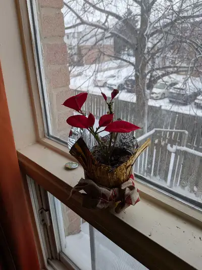 room for rent, View more