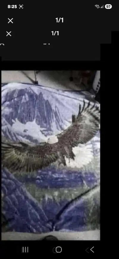 Eagle blanket, View more