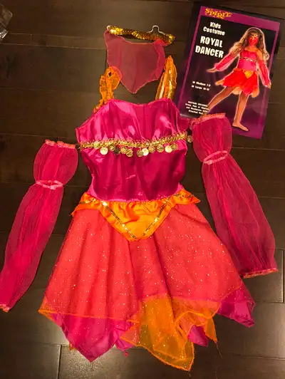 Royal Dancer Halloween Costume - Sz L (8-12), View more