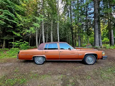 4.1L, V-8, HT-4100 engine. Car takes premium gas (according to other owners, and is what we put in i...