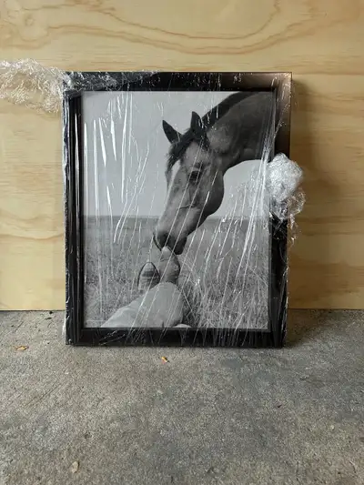 Black and White Horse and Cowboy Boots Framed Art 22ichx18inc, View more