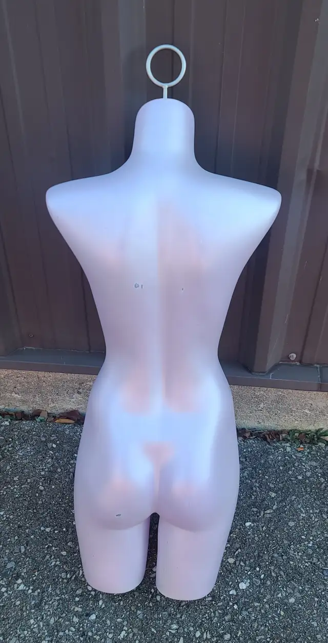 Plastic woman's torso display mannequin.64959982430337123