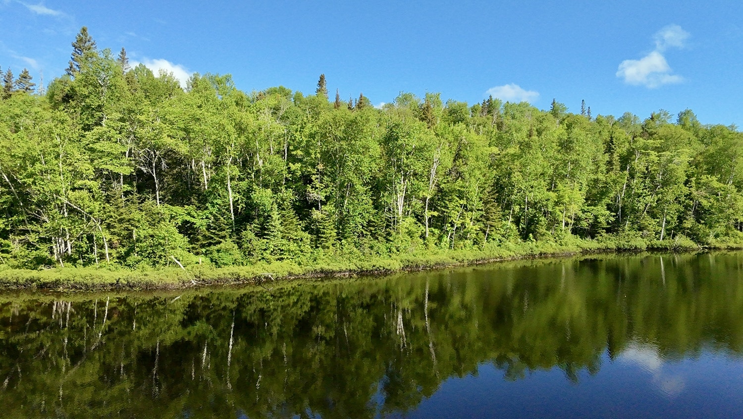 Votre domaine en pleine nature – 11,84 ha avec lac au Saguenay — photo 2